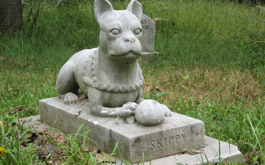 Unveiling the Symbolism of Pet Grave Stones Through Shapes and Colors